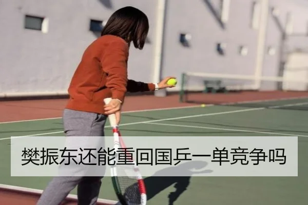 樊振东还能重回国乒一单竞争吗